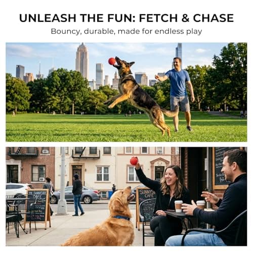 Apasiri Beef-Flavored Durable Dog Ball for Aggressive Chewers, Tough Squeaky Rubber Toy for Pitbulls Large & Medium Breeds - Thumbnail 4