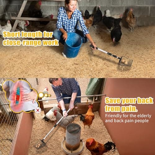 Chicken Poop Scooper & Rake, 3 in 1 Chicken Coop Scoop 23" to 42" Adjustable, Durable Metal Sifting Litter Shovel, Chicken Coop Accessories for Chickens Coop, Small Farm Animals, Cat Litter - Thumbnail 6