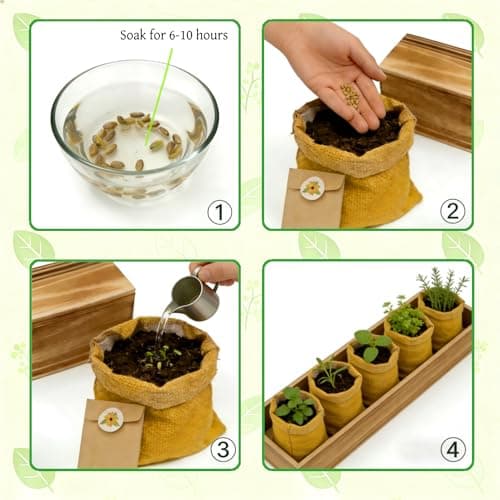 5 Herb Garden Kit, Wooden Box, Windowsill Basil Thyme Parsley Rosemary Mint - Thumbnail 4