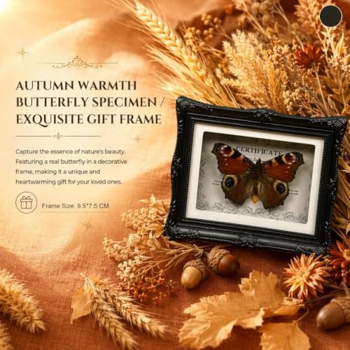 1Pcs Real Butterfly Framed Handmade, Taxidermy Butterfly Shadow Box Collection, Framed Butterfly Taxidermy for Oddities and Curiosities Gifts Tabletop Ornaments (#06-butterfly Specimen+photo Frame) - Thumbnail 2