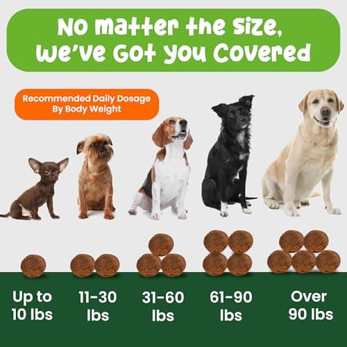 Vibin’ Tails 24-in-1 Dog Multivitamin, Glucosamine Chondroitin Hip & Joint Support, Probiotics & Omega-3, Skin & Coat - Puppy & Senior Chewable Dog Vitamins & Supplements Vet Formulated - 120ct Bacon - Thumbnail 3