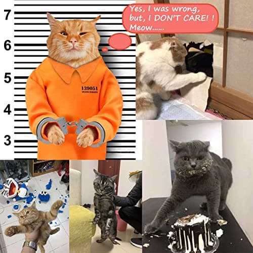 ZB.soar Funny Cat Handcuffs, Key Buckle,Stainless Steel Pet Toy Handcuffs, Mini Pet Handcuff Suitable for Most Small Pets,Increase The Relationship with Your Pets (Metal) - Thumbnail 2