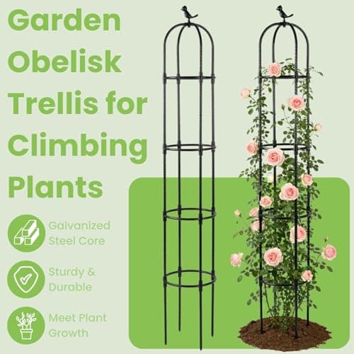 Lancisism Garden Obelisk Trellis for Climbing Plants Outdoor - 6.3 Ft Plant Support Round Trellis for Potted Plants Indoor - Rustproof Plastic Coated Tomato Cage for Vines Flowers Fruits Vegetable - Thumbnail 2