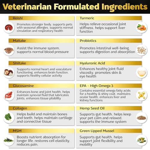 Life4Legs - Soft Chews Hip and Joint Supplement for Dogs - Dog Joint Pain Relief Treats - Glucosamine, Chondroitin, Turmeric - Mobility Bites Supplement - Thumbnail 6