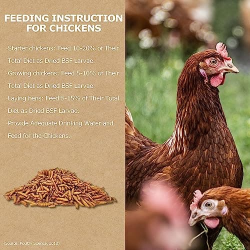 HARTOMPET Premium Dried Black Soldier Fly Larvae for Chickens - 5LB High Calcium Supplement, Molting and Laying Support, Non-GMO & High-Protein Treats, Food for Wild Birds, Ducks, Reptile | Top Grade - Thumbnail 5
