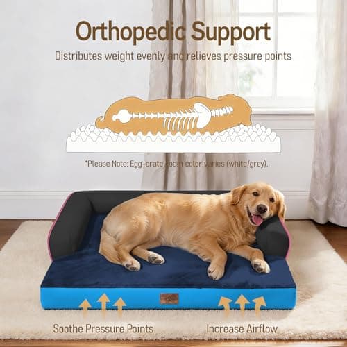 Comfort Expression Memory Foam Large Dog Bed Washable - Waterproof Orthopedic Dog Beds Pet Couch Memory Foam Sofa Bolster with Removable Cover - 36 x 27 - Thumbnail 2