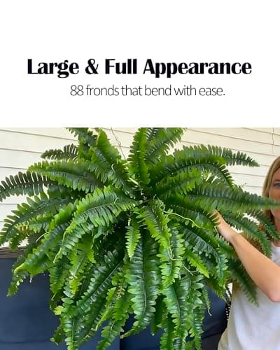 GYERB 48" Large Artificial Boston Fern Plants for Outdoor Indoor, Fake Ferns for Front Porch Hanging, Faux Greenery Bushes for Home Garden Office Decor, Silk Fern with Realistic Fronds, 88 Branches - Thumbnail 5