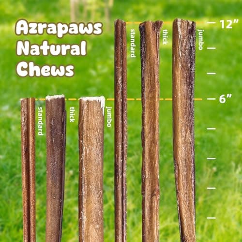 Bully Sticks for Dogs 6 Inch Beef Collagen Dog Chews for Large Dogs, Medium and Small Breeds Healthy Bully Bones Long Lasting Chew Treats for Aggressive Chewers Low Odor Rawhide Free Dental Treats - Thumbnail 6