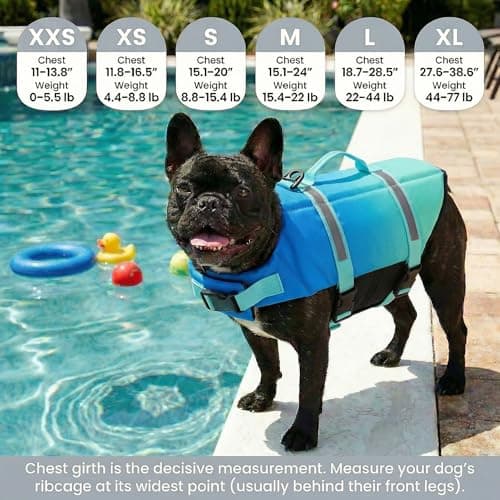 Doglay Dog Life Jacket, Life Vest for Swimming and Boating, Adjustable Puppy Life Jacket with Reflective Stripes, Superior Buoyancy Pet Swimming Vest for Small Medium and Large Dogs - Thumbnail 2
