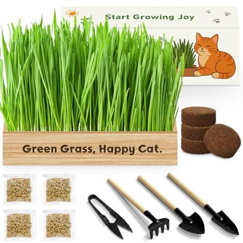 LUOJIBIE Cat Grass Kit for Indoor Cats, Cat Grass Seeds Set, Non-GMO Wheat Grass, Mother' s Day Gifts for Mom, Unique Christmas Birthday Gifts for Women Men Girl, House Warming Gifts for Cat Lover - Image 1