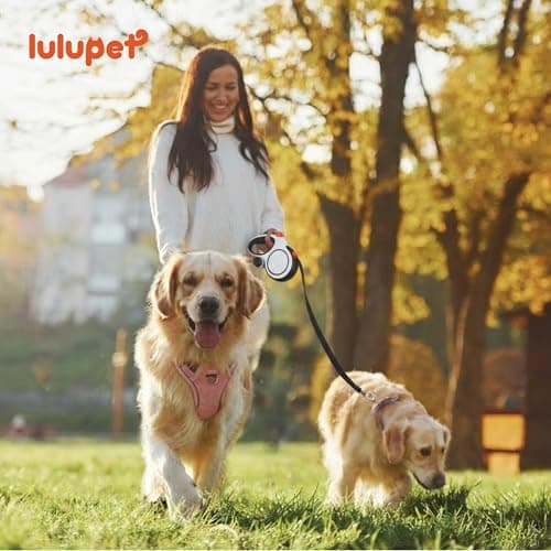 Pink Dog Harness Leash Collar Set, No Pull Reflective Dog Vest Harness with Control Handle, Adjustable Breathable Pet Harness for Small Medium Dogs Walking Training - Thumbnail 6