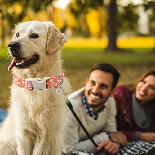 ARING PET Spring Summer Dog Collar, Cute Daisy Wildflower Floral Blossom Pet Collars for Small Medium Large Girl Dogs-S Size - Thumbnail 2