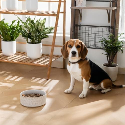 MALACASA Ceramic Dog Food Bowl, 3.5 Cups or 32oz Dog Food Water Dish for Mudium Breeds, Pet Bowl Dishwasher & Microwave Safe, Five-Leaf Grass, Series Lydia - Thumbnail 6