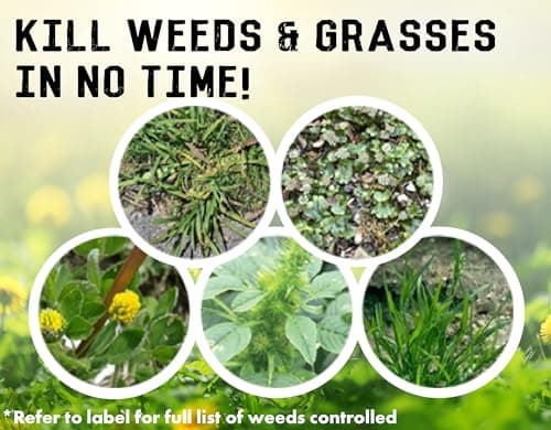 Liquid Harvest Vinegar Weed & Grass Killer - Gallon - Nonselective Herbicide Approved for Organic Production, Pet Safe & Glyphosate Free Herbicide - Thumbnail 3
