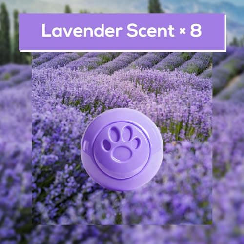 SCENTORINI Shoe Deodorizer Balls, 8 Pack Lavender Sneaker Deodorizer Balls - Thumbnail 2