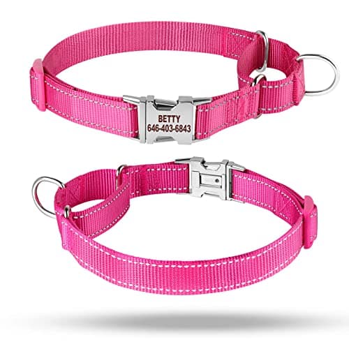 Personalized Martingale Dog Collar-Reflective Martingale Collars with Buckle, Custom Training Martingale Dog Collars Embroidered with Name and Phone Number for Small Medium Large Dogs - Thumbnail 2