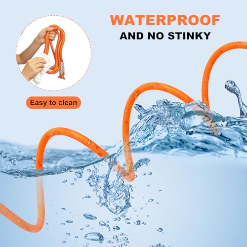 5FT Nylon Waterproof Dog Leash, Durable Strong Odor-Proof Dog Leashes with Zinc Alloy Clip, Walking, Beach, Yard, Swimming, Training Leash for Small, Medium & Large Dogs Blue - Thumbnail 2