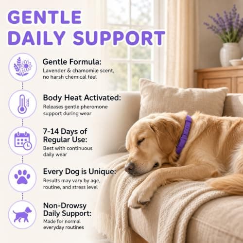 Calming Collar for Dogs 4 Pack, Purple Dog Calming Collar for Anxiety & Stress Relief, Pheromone Dog Collar for Small Medium Large Dogs, 240 Days Protection Each - Thumbnail 3