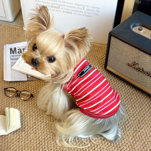 Jialinifery Soft Striped Dog Shirt, Cozy Warm pet Vest for Small Medium Dogs, Classic Puppy cat Clothes for Indoor Outdoor Outfits - Thumbnail 3