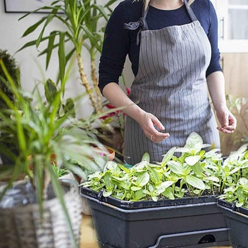 BETAGT 8 Pcs 12-Cell Replacement Capillary Mats for Seed Starting, 17.7 x 3.5 Inch Self Watering Seed Mats for Starting Seeds, Seed Starting Tray Watering Mat for Indoor Greenhouse Gardening - Thumbnail 6