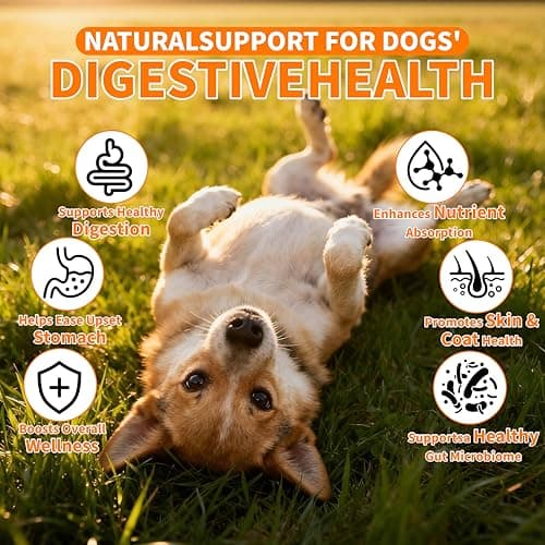 Probiotics for Dogs - 6 Digestive Probiotics & 6 Enzymes for Itchy Skin,Digestion & Gut Support,Helps Diarrhea, Yeast Infection, Upset Stomach,Allergies & Immune System Support-150 Chews - Thumbnail 5