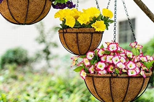 Kingbuy 14" Metal Hanging Basket with Coconut Liner – 6.5" Depth, Rust-Resistant Wire for Ferns & Herbs, Adjustable Chains & S-Hook for Balcony Porch Kitchen Window, 2 Pack - Thumbnail 2
