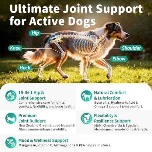 POPPAW Advanced Dog Joint Supplement – 15-in-1 Glucosamine for Dogs with Chondroitin, MSM & Green Lipped Mussel – Hip & Joint Pain Relief Mobility Chews, Chicken Flavor, 90Ct Breeds - Thumbnail 2