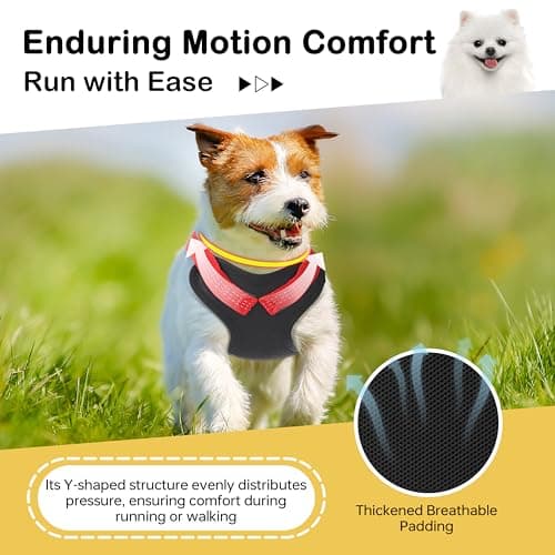 Adjustable Backpack for Small Dogs, Dog Backpack Harness with Reflective Leash, Built in Poop Bag Dispenser, Detachable Dog Back Pack for Outdoor Adventures, Puppy Training, Walking(Black,Large) - Thumbnail 6