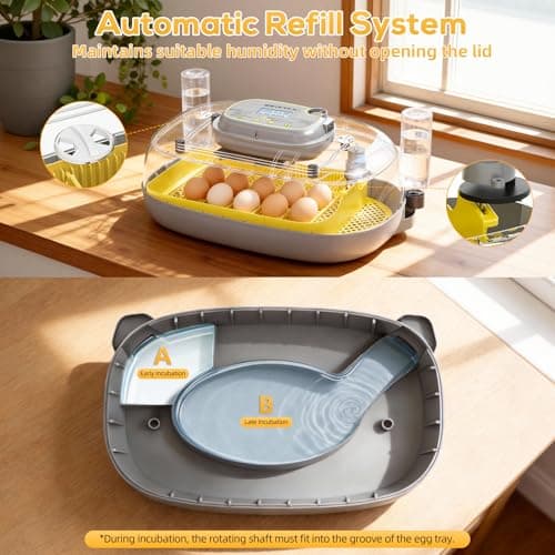 IBKINXX Incubator for Hatching Eggs-24 Egg Capacity, Automatic Egg Turner, Temperature & Humidity Control, 360° Viewing for Chicken, Duck and Quail Eggs - Thumbnail 6