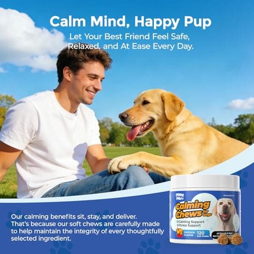 PrimePaw Calming Chews for Dogs L-Theanine L-Tryptophan Phosphatidylserine Valerian Chamomile Passion Flower Non-Sedating Relaxation Support All Breeds Puppy Adult Senior Chicken Flavor 120 Soft Chews - Thumbnail 2