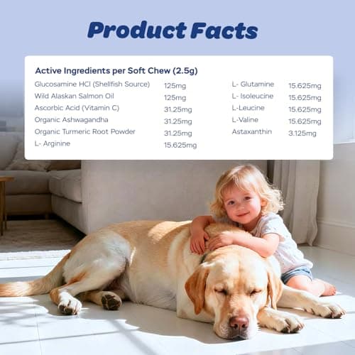 Xiderdl 11-in-1 Muscle & Weight Support Chews for Dogs – High Protein Supplement with Amino Acids, BCAAs, Antioxidants & Vitamins – Muscle Support Soft Chews for Puppies & Adult Dogs, 120 Count - Thumbnail 5