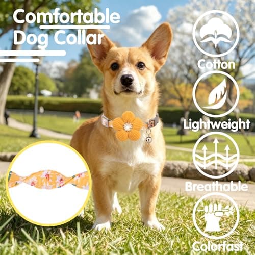 Small Dog Collar with Flower, Spring Dog Collar for Girl Dog Collars for Small Dogs Cute Dog Collar with Bell, Adjustable Length - Thumbnail 4