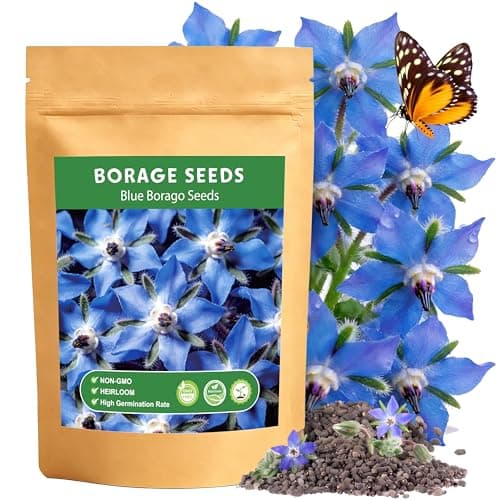 LUOJIBIE Borage Seeds, 2,000+ Blue Borage Seeds for Planting Outdoor & Indoor, Flower Seeds Bulk for Garden, Non-GMO & Heirloom, Easy to Grow