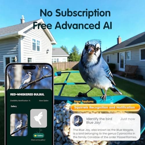 Humbirdy Bird Feeder with Camera, 4K Ultra HD Video with 30fps Live View, 10x Slow Motion, No Subscription, Solar Powered AI Smart Bird Feeder with Camera, 2.4G/5G Wi-Fi, Durable Metal,Bird Lover Gift - Thumbnail 3