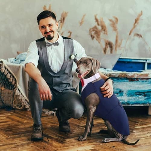 DORA BRIDAL Dog Tuxedo for Medium Dogs, Dog Suit and Bowtie, Formal Dogs Wedding Outfit, Pet Tuxedo and Bandana Set Valentines Birthday Costumes for French Bulldog, Pomeranian, Dachshund, Blue, M - Thumbnail 6