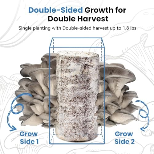 Organic Edible 4lbs Oyster Mushroom Growing Kit, Made in USA, Double-Side Mushroom Grow Kit Indoor, Harvest Gourmet Mushrooms in 10 Days, Top Gardening Gift, Holiday Gift - Thumbnail 3
