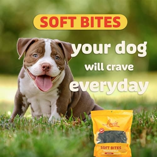 Lovie Beef Lung Dog Treats - Dehydrated Air Dried Soft Bites, Single Ingredient, Protein Rich, 16 oz - Thumbnail 3