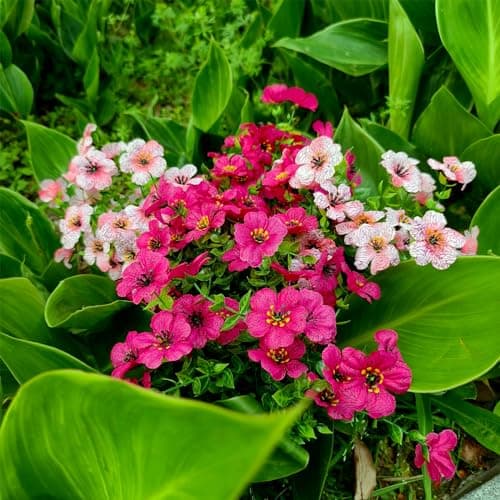 WEAUSUP 28 Bundles Artificial Plants & Flowers Silk Fake Flowers UV Resistant Bushes Plastic Artificial Flowers Faux Outdoor Indoor Plants for Spring Summer Patio Decorations(7 Colors) - Thumbnail 3