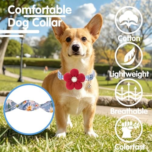 Medium Dog Collar with Flower, Dog Collars for Medium Dogs Collar for Girl Cute Dog Collar with Bell, Adjustable Length - Thumbnail 4