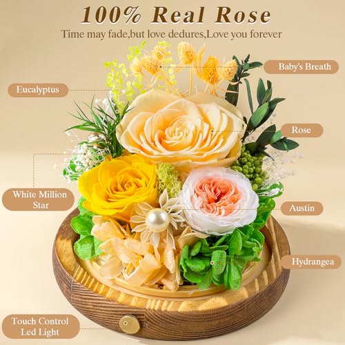 Elover Preserved Roses in Glass Dome with LED Light Long Lasting Real Flowers,Forever Eternal Rose for Mother's Day,Valentine's Day,Birthday Gifts for Women,Mum,Wife,Girlfriend (Champagne) - Thumbnail 2