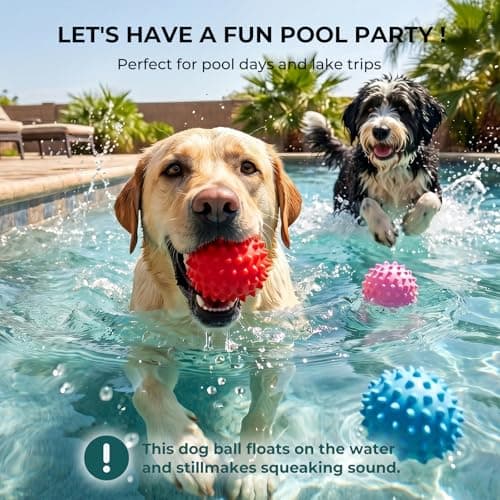 Apasiri Beef-Flavored Durable Dog Ball for Aggressive Chewers, Tough Squeaky Rubber Toy for Pitbulls Large & Medium Breeds - Thumbnail 6