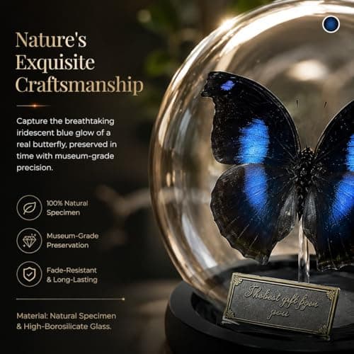 Wugakio Glass Taxidermy Butterfly Specimen Shadow Box, Butterfly Gifts for Women Girls with Glass Cover, Butterfly Decor for Bedroom Office Living Room Desk (Napeocles jucunda) - Thumbnail 4