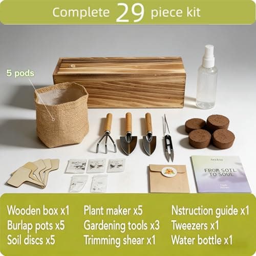 5 Herb Garden Kit with Wooden Box - Including Basil, Thyme, Parsley, Rosemary, Mint - Windowsill Herb Garden for Kitchen, Gardening Gifts for Mom Women, Men, Gift Ideas for Birthday, Housewarming - Thumbnail 4