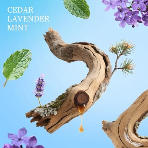 TOUCHFEEL Spray Hand Sanitizer Travel Size Scented 3-Pack - Refillable Hydrating Hand Sanitizers Portable Design Travel Essentials (Mint Reverie, Silver Cedar, Citrus mist at dawn) 0.93Fl Oz Each - Thumbnail 5