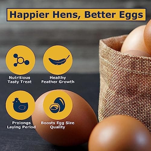 HARTOMPET Chicken Feed Dried Black Soldier Fly Larvae, 10LB Natural Poultry Treat, 85X Calcium vs Mealworms for Laying & Molting Hens, Nutrient-Rich Feed for Ducks & Wild Birds, Reptiles - Thumbnail 3