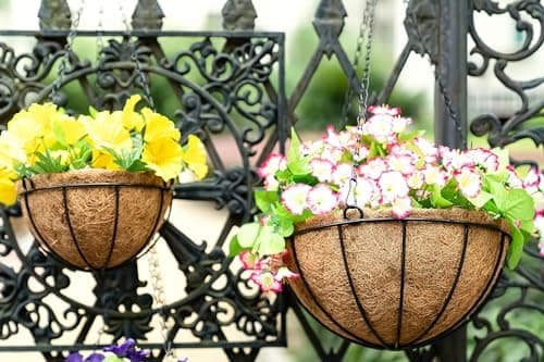 Kingbuy 12" Metal Hanging Basket for Herbs & Flowers – 6" Depth Rust-Resistant Wire with Coconut Liner & Adjustable Chains for Kitchen Window, Balcony & Garden - 2 Pack - Thumbnail 4