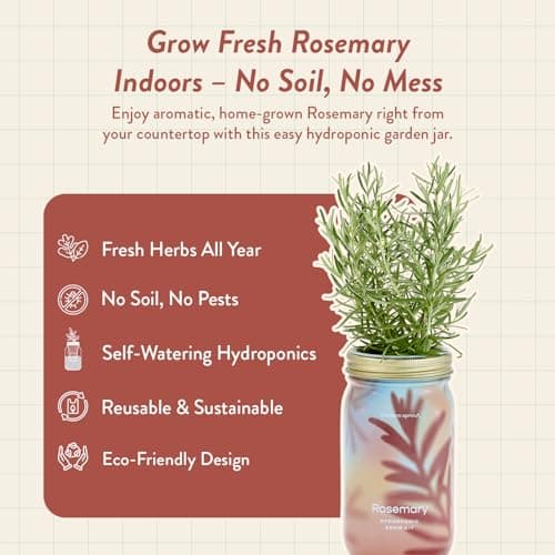 Modern Sprout Mason Garden Jar - Self-Watering Hydroponics Growing System Kit with Organic Herb Seeds - Jar Planter for Indoor Herb Garden - Seed Starter Kit - Home Decor & Gifting - Rosemary - Thumbnail 2