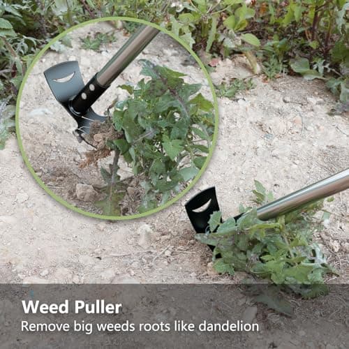 Mitclear Weed Puller Tool with Long Handle(58IN), 2-in-1 Gardening Hand Tools Weeds Remover, Weeder Rake & Garden Hoe Combo, Manual Weeding Puller Tool for Garden Yard Patio Lawn - Thumbnail 6