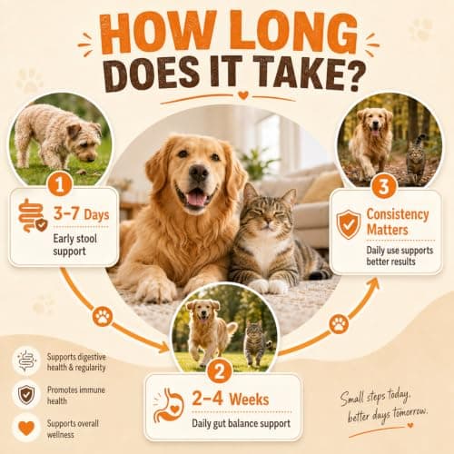 PUAINTA Probiotics for Dogs & Cats – 8-Strain Probiotic with Prebiotics for Digestive & Gut Health, Immune & Stool Support, Helps Dogs Eating Dirt, Grass & Non-Food Items (90 Count) - Thumbnail 2