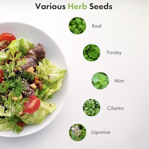 Quality Herb Seed Pod Kit for AeroGarden, iDOO, Ahopegarden - Compatible with All Hydroponic Indoor Garden Systems, High Germination, Includes Basil, Parsley, Mint, Cilantro, Liquorice, 7 pods - Thumbnail 2